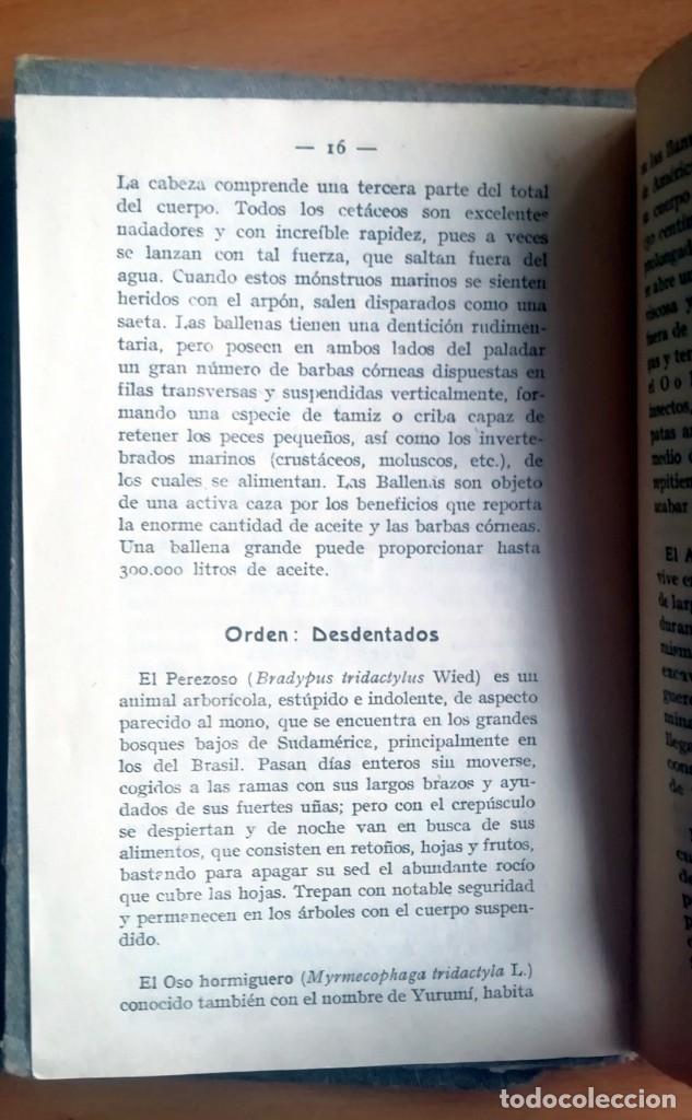 Libros antiguos: Atlas de bolsillo: Insectos y Mam&iacute;feros - 2 tomos - Foto 5