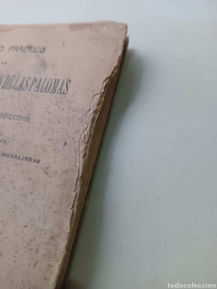 Libros antiguos: Tratado Pr&aacute;ctico de la Cr&iacute;a y Multiplicaci&oacute;n de las Palomas - Foto 4