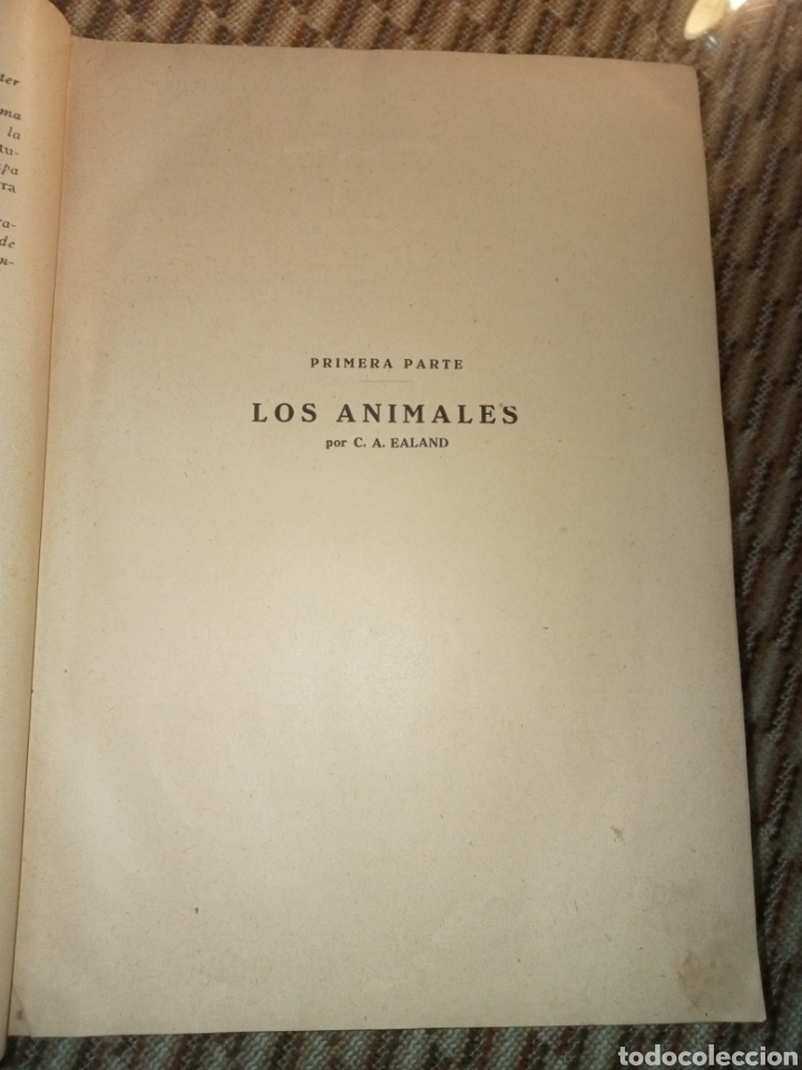 Libros antiguos: Historia Natural de la Creaci&oacute;n - Foto 5