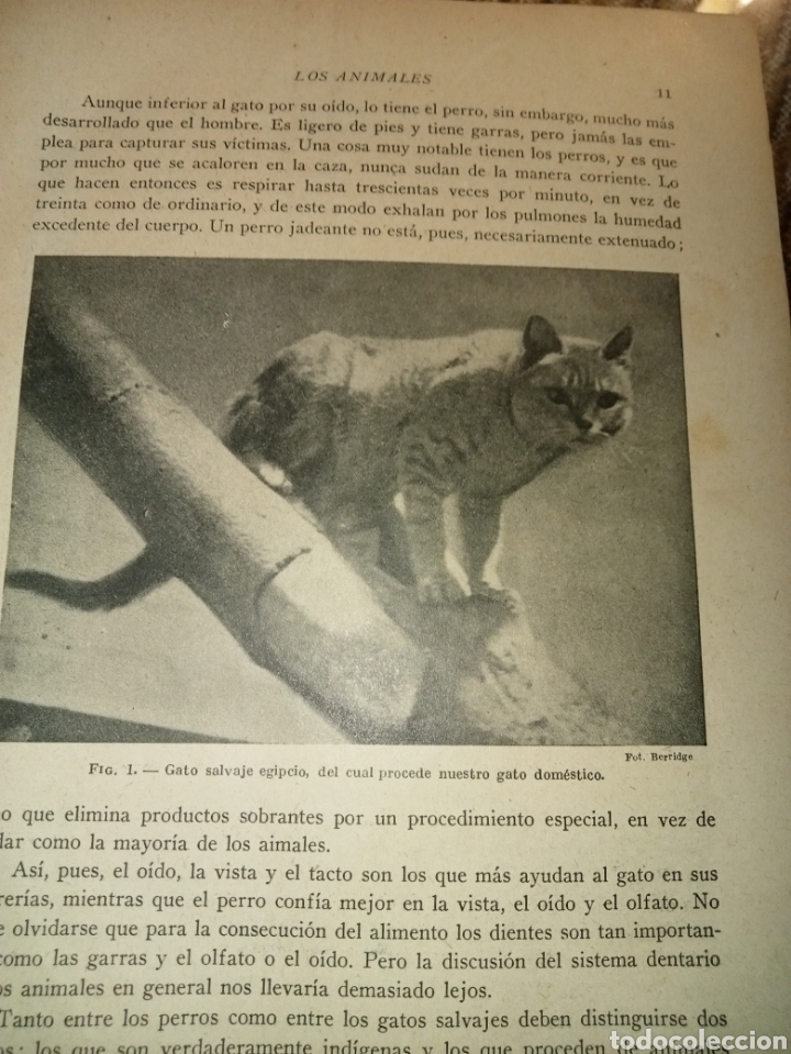 Libros antiguos: Historia Natural de la Creaci&oacute;n - Foto 6