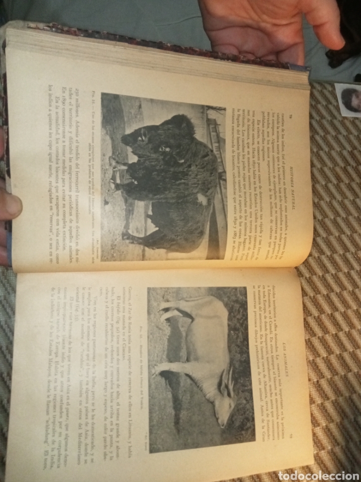Libros antiguos: Historia Natural de la Creaci&oacute;n - Foto 8