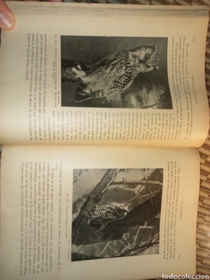 Libros antiguos: Historia Natural de la Creaci&oacute;n - Foto 9