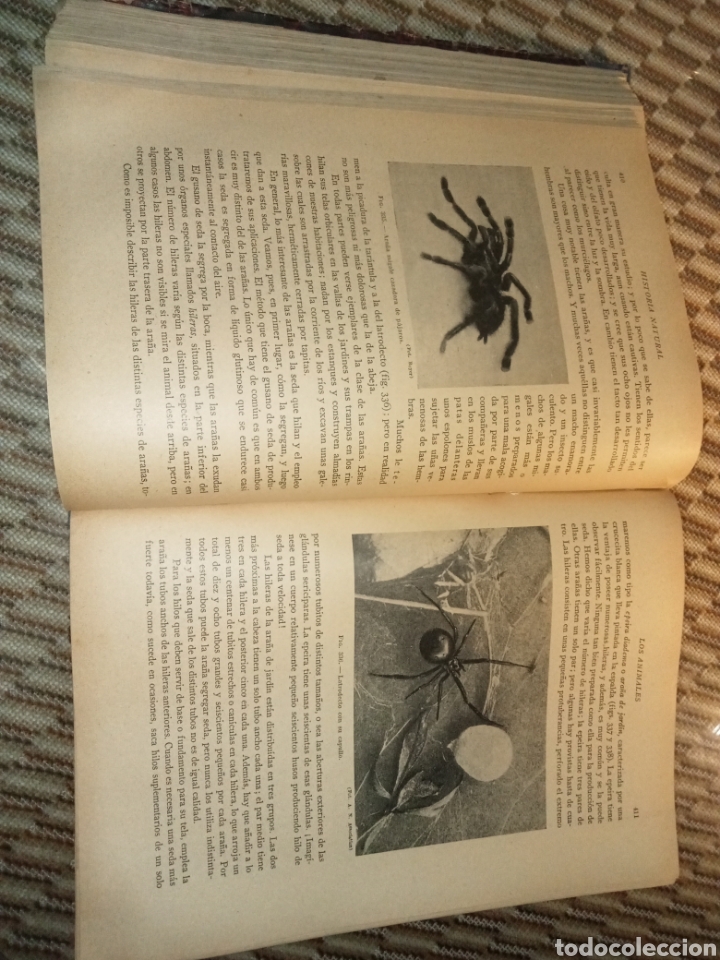 Libros antiguos: Historia Natural de la Creaci&oacute;n - Foto 11