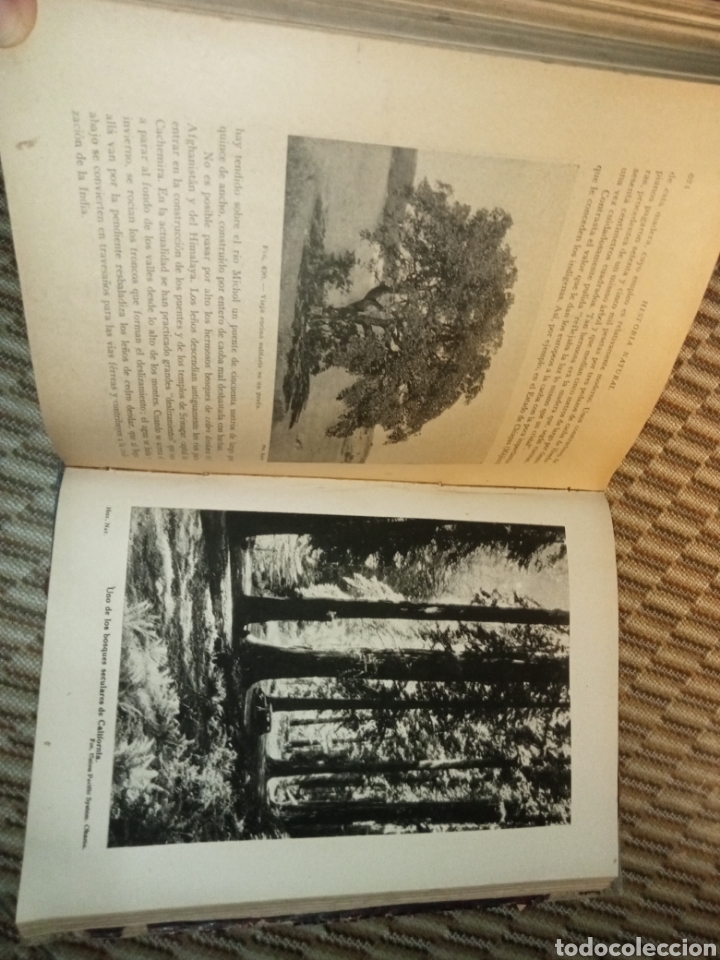 Libros antiguos: Historia Natural de la Creaci&oacute;n - Foto 14