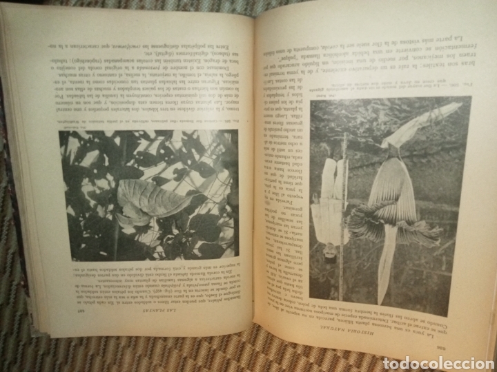 Libros antiguos: Historia Natural de la Creaci&oacute;n - Foto 15