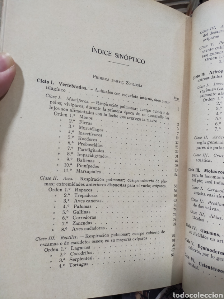 Libros antiguos: ELEMENTOS DE ZOOLOG&Iacute;A - SCHMEIL - Foto 8