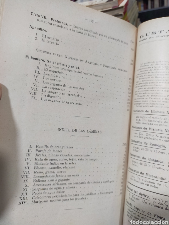 Libros antiguos: ELEMENTOS DE ZOOLOG&Iacute;A - SCHMEIL - Foto 10