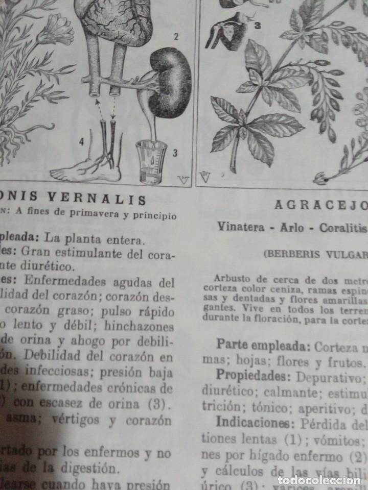 Libros antiguos: Plantas medicinales. Dr. Adrian Vander - Foto 3