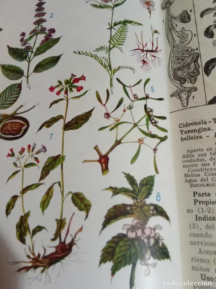 Libros antiguos: Plantas medicinales. Dr. Adrian Vander - Foto 4
