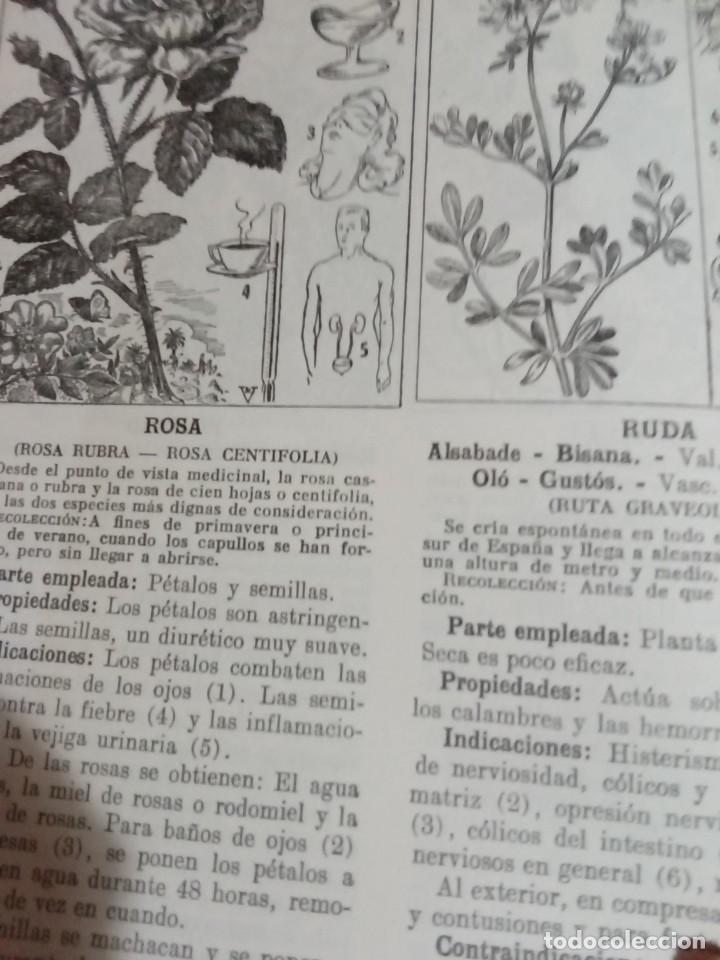 Libros antiguos: Plantas medicinales. Dr. Adrian Vander - Foto 5