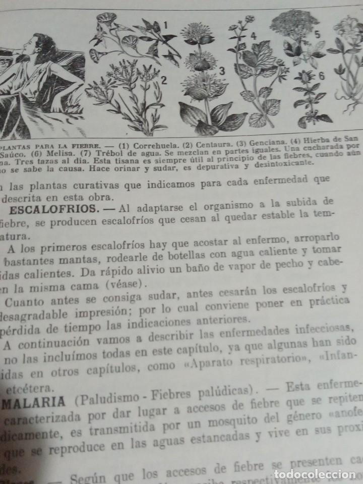Libros antiguos: Plantas medicinales. Dr. Adrian Vander - Foto 6