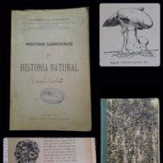 Libros antiguos: PRÁCTICAS ELEMENTALES DE HISTORIA NATURAL - HERNANDEZ PACHECO - 1903