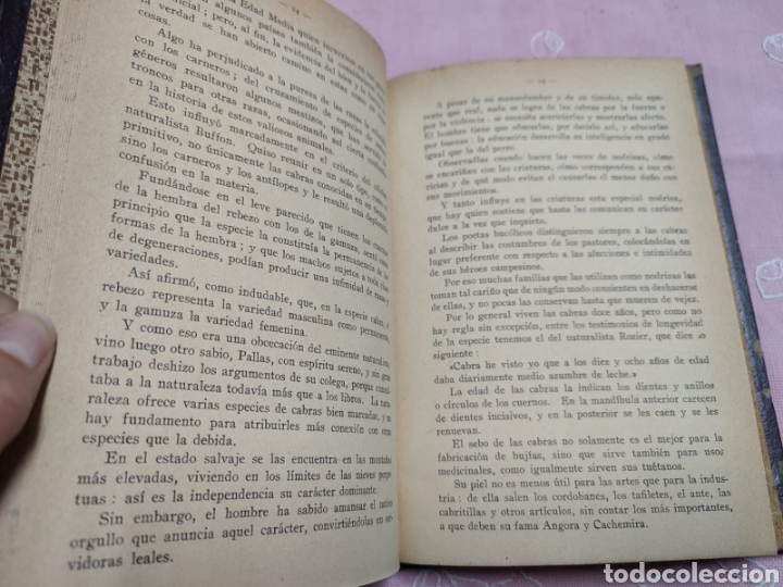 Libros antiguos: Las cabras de leche Narciso Montagut 1926 - Foto 6