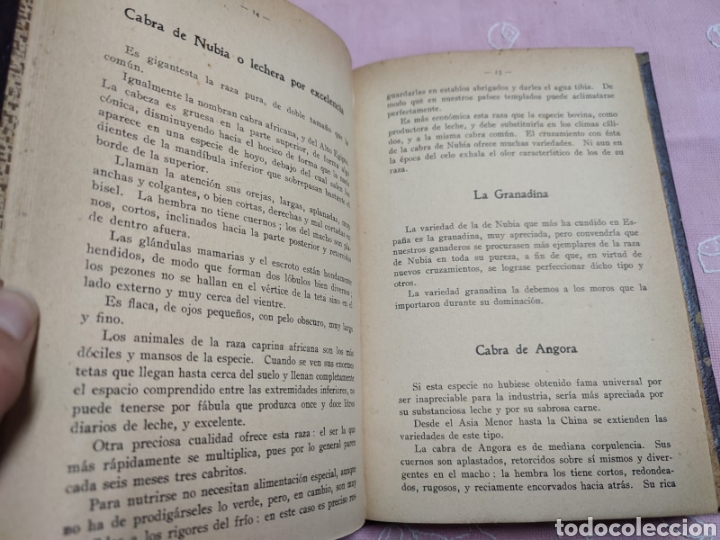 Libros antiguos: Las cabras de leche Narciso Montagut 1926 - Foto 7