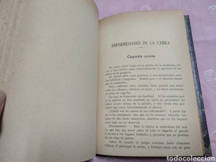 Libros antiguos: Las cabras de leche Narciso Montagut 1926 - Foto 8
