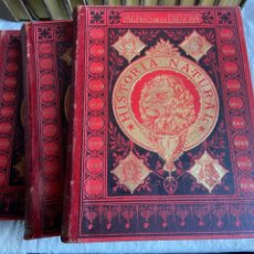 Libros antiguos: HISTORIA NATURAL , 1888 , RAFAEL SALVATELLA EDITOR BARCELONA. Lote 342296613