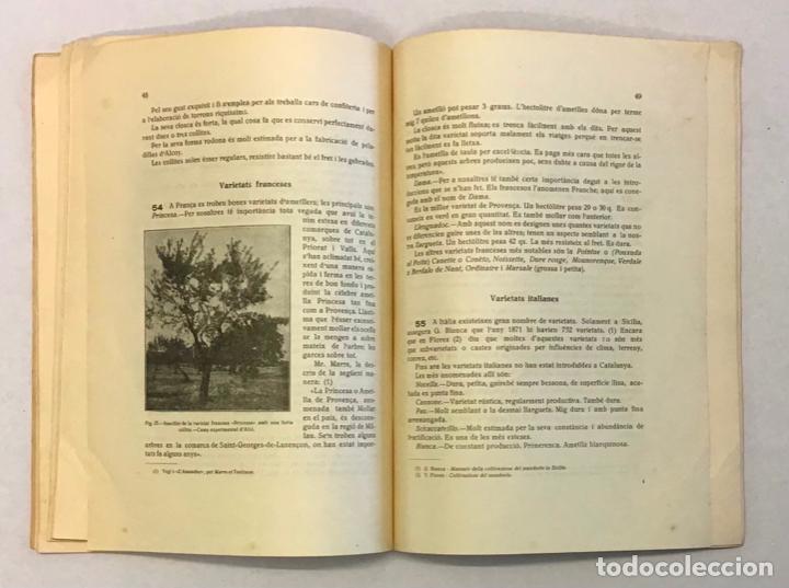 Libros antiguos: LAMETLLER. - SALOM I CALAFELL, Joan. - Foto 3