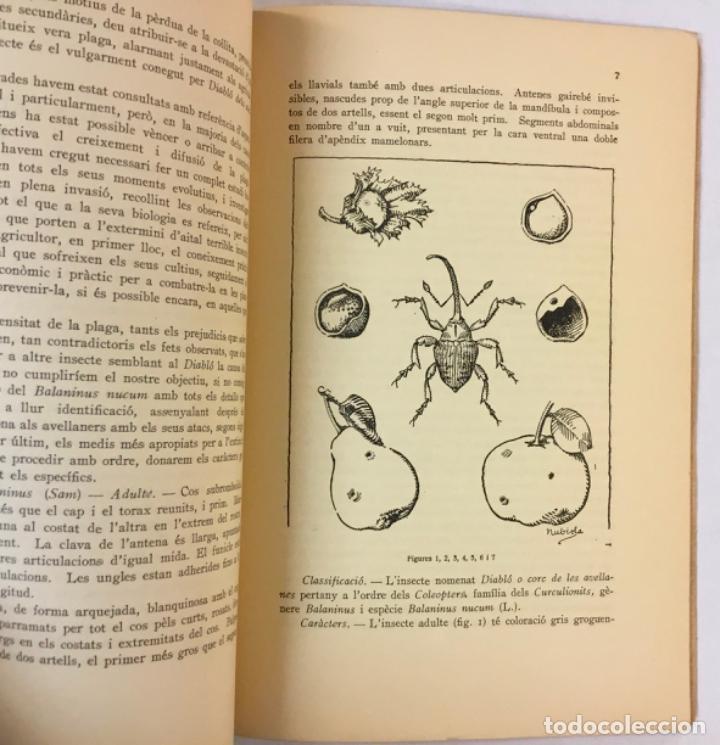 Libros antiguos: EL DIABL&Oacute; DE LAVELLANER. - NONELL I COMAS, Jaume. - Foto 3