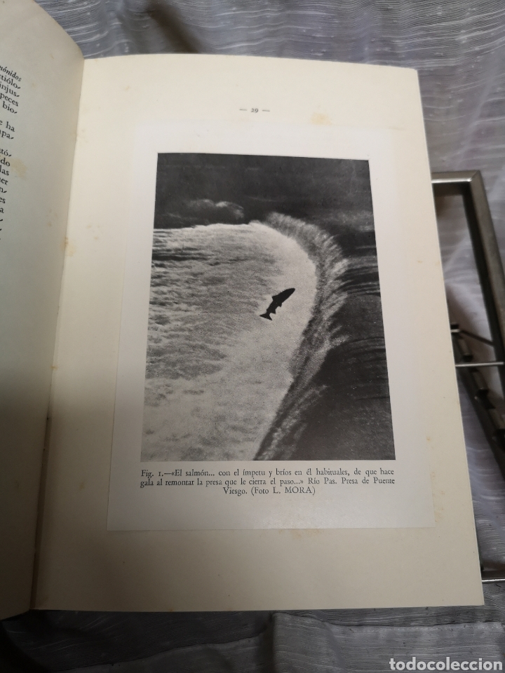 Libros antiguos: Libro Las Regadias Salmoneras - Foto 6