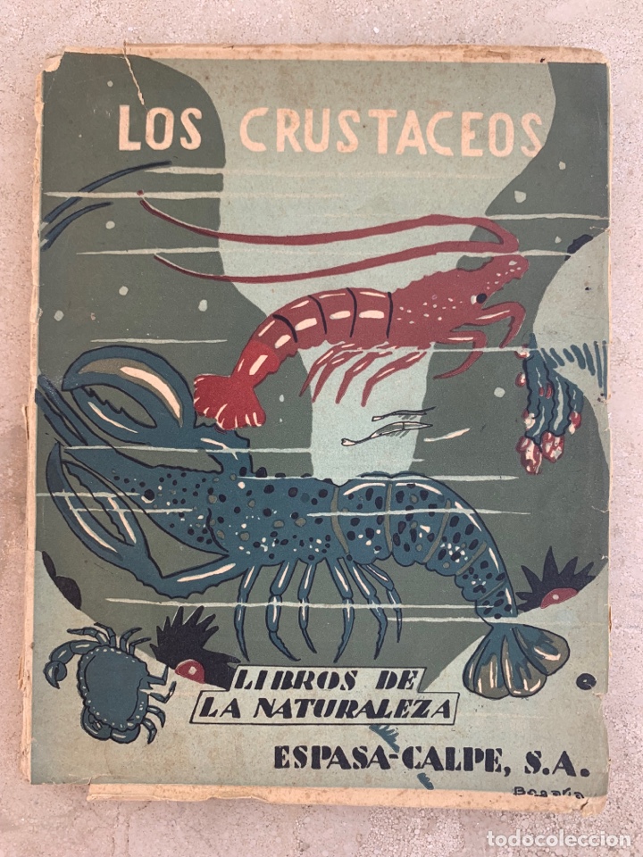 Libros antiguos: Libro &ldquo;La vida de los crust&aacute;ceos&rdquo;. 1930. - Foto 1
