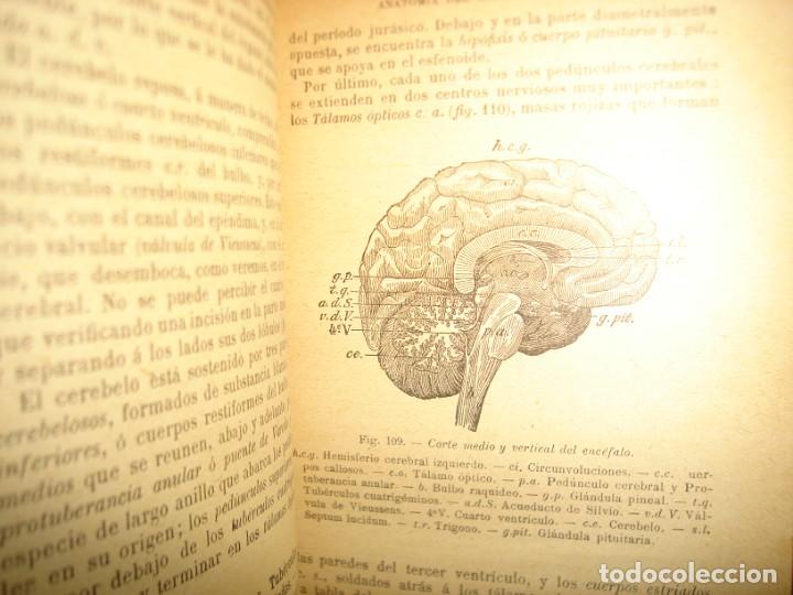 Libros antiguos: 167- HISTORIA NATURAL - J. LANGLEBERT - 1924 - Foto 15