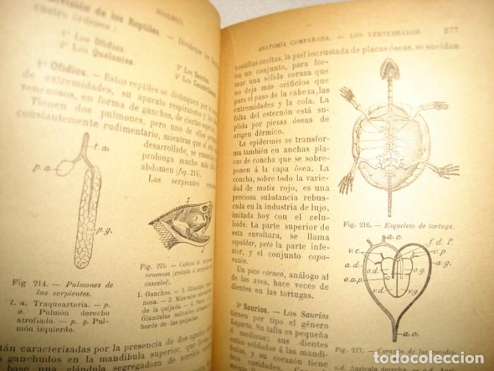 Libros antiguos: 167- HISTORIA NATURAL - J. LANGLEBERT - 1924 - Foto 16