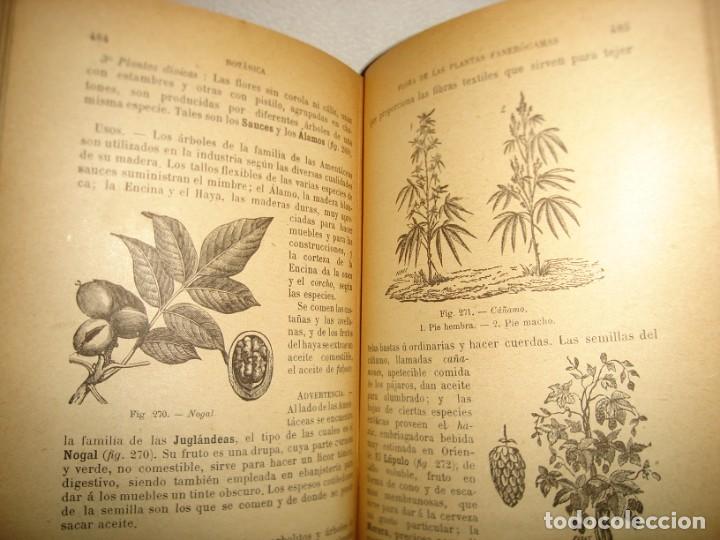 Libros antiguos: 167- HISTORIA NATURAL - J. LANGLEBERT - 1924 - Foto 17