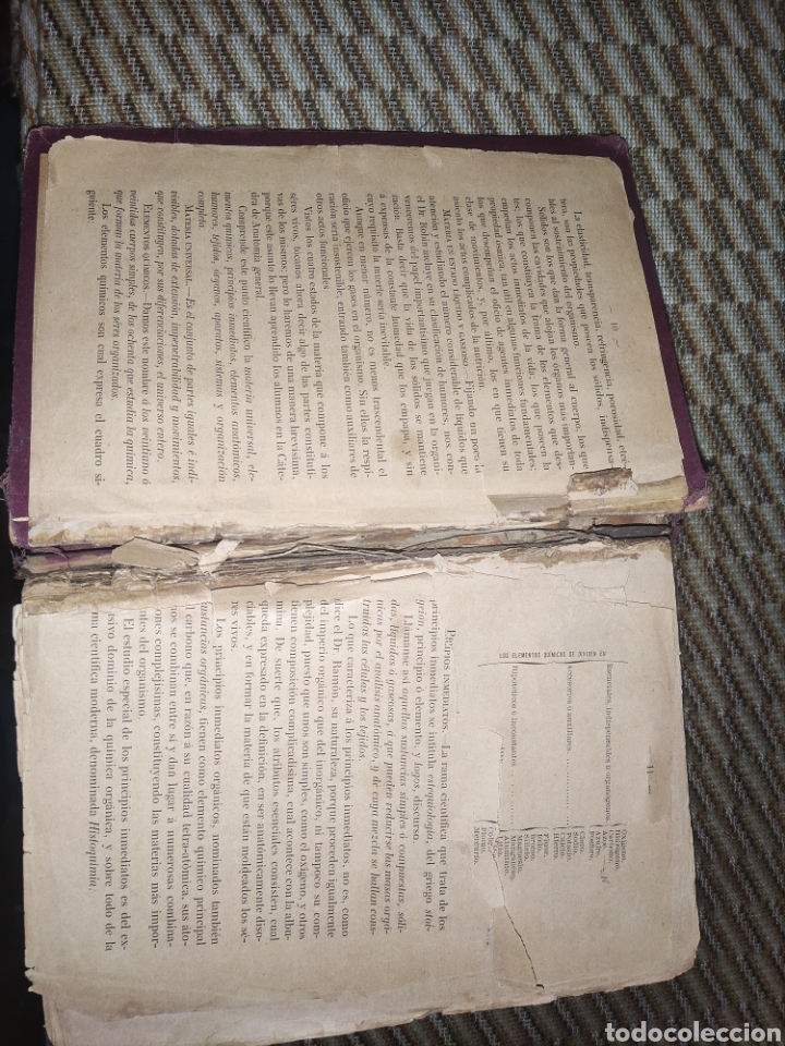 Libros antiguos: Tratado de Anatom&iacute;a Descriptiva. - Foto 5