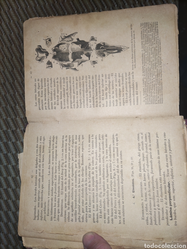 Libros antiguos: Tratado de Anatom&iacute;a Descriptiva. - Foto 6