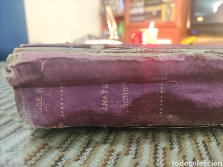 Libros antiguos: Tratado de Anatom&iacute;a Descriptiva. - Foto 1