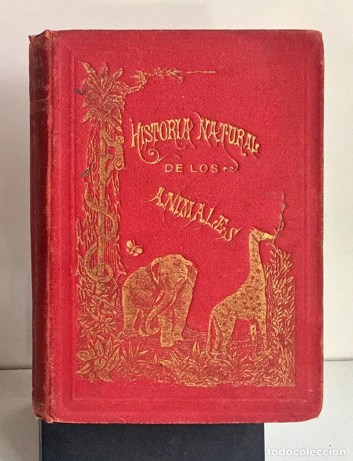 Libros antiguos: COMPENDIO DE HISTORIA NATURAL DE LOS ANIMALES. 1896 - Foto 1
