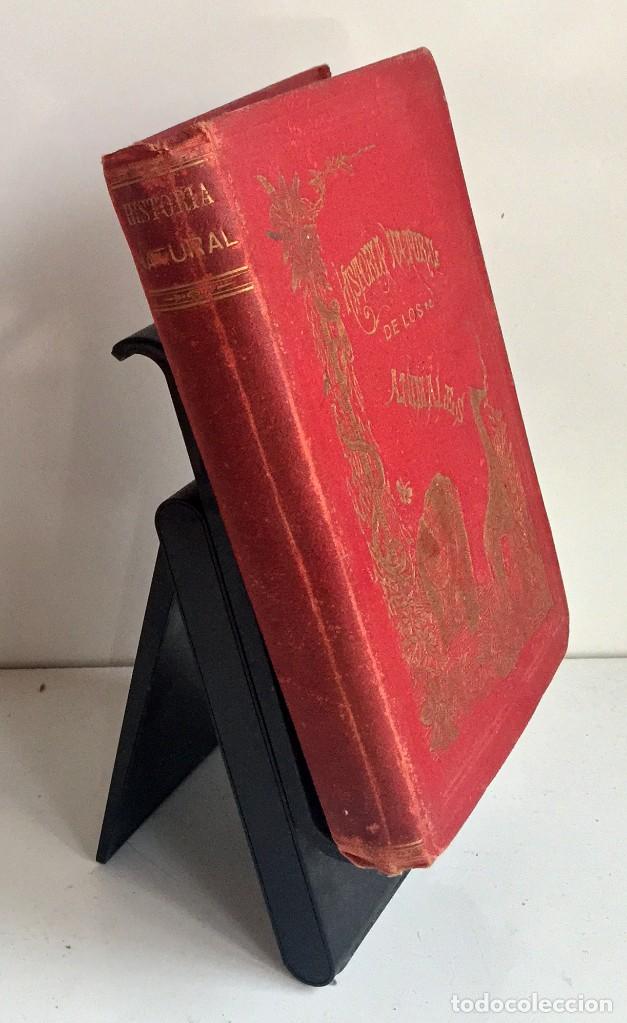 Libros antiguos: COMPENDIO DE HISTORIA NATURAL DE LOS ANIMALES. 1896 - Foto 3