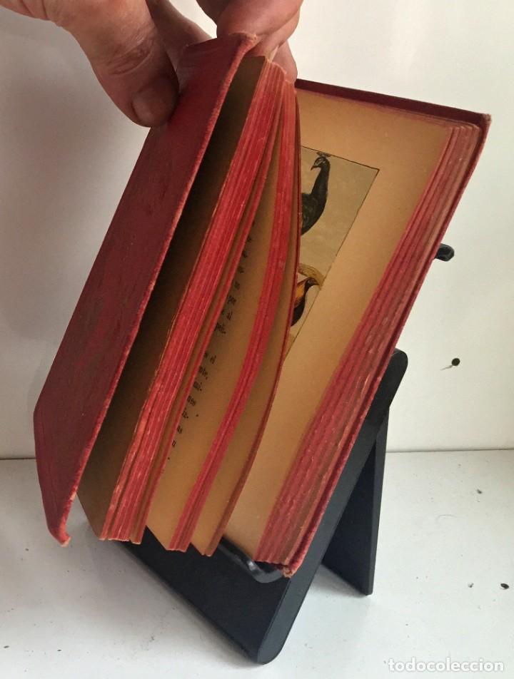 Libros antiguos: COMPENDIO DE HISTORIA NATURAL DE LOS ANIMALES. 1896 - Foto 4