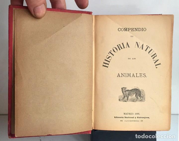 Libros antiguos: COMPENDIO DE HISTORIA NATURAL DE LOS ANIMALES. 1896 - Foto 5