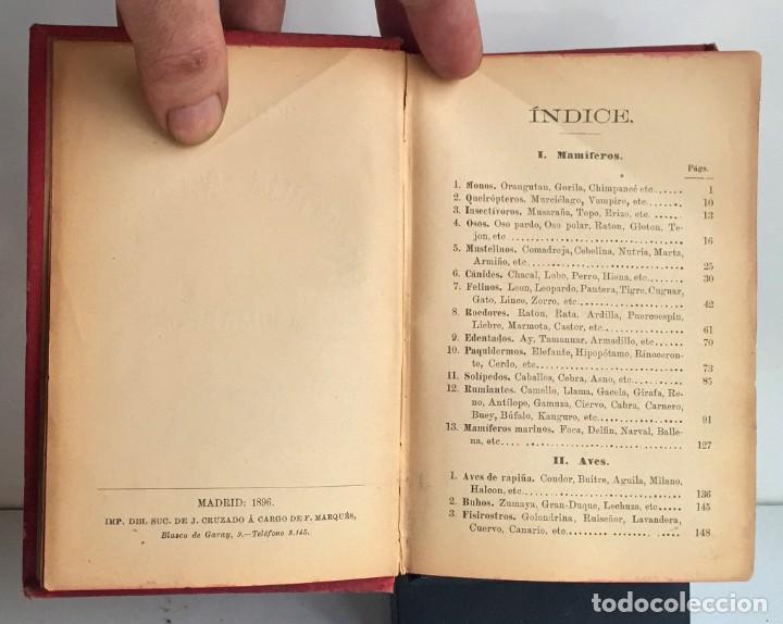 Libros antiguos: COMPENDIO DE HISTORIA NATURAL DE LOS ANIMALES. 1896 - Foto 6