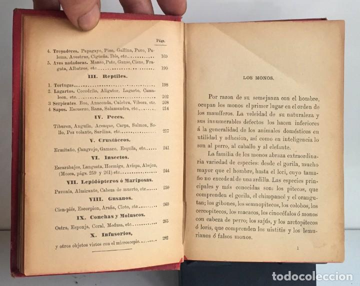 Libros antiguos: COMPENDIO DE HISTORIA NATURAL DE LOS ANIMALES. 1896 - Foto 7