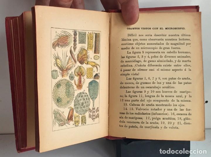 Libros antiguos: COMPENDIO DE HISTORIA NATURAL DE LOS ANIMALES. 1896 - Foto 21