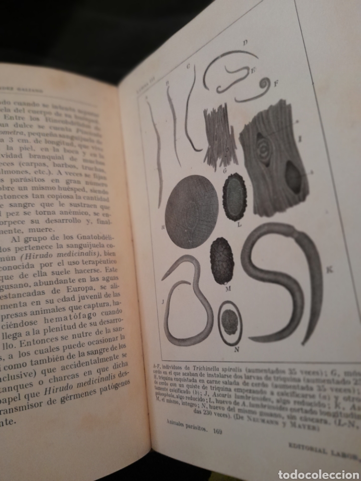 Libros antiguos: Los Animales Par&aacute;sitos, libro de 1928 - Foto 5