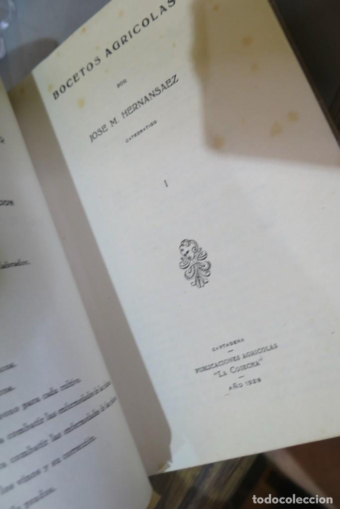Libros antiguos: 1929.- BOCETOS AGRICOLAS. HERNANSAEZ - Foto 2