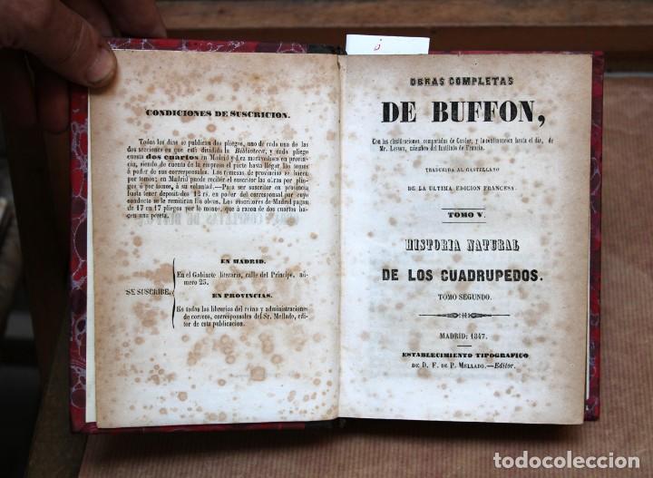 Libros antiguos: BUFFON.O.C. Tomo V. ilustrado - Foto 1