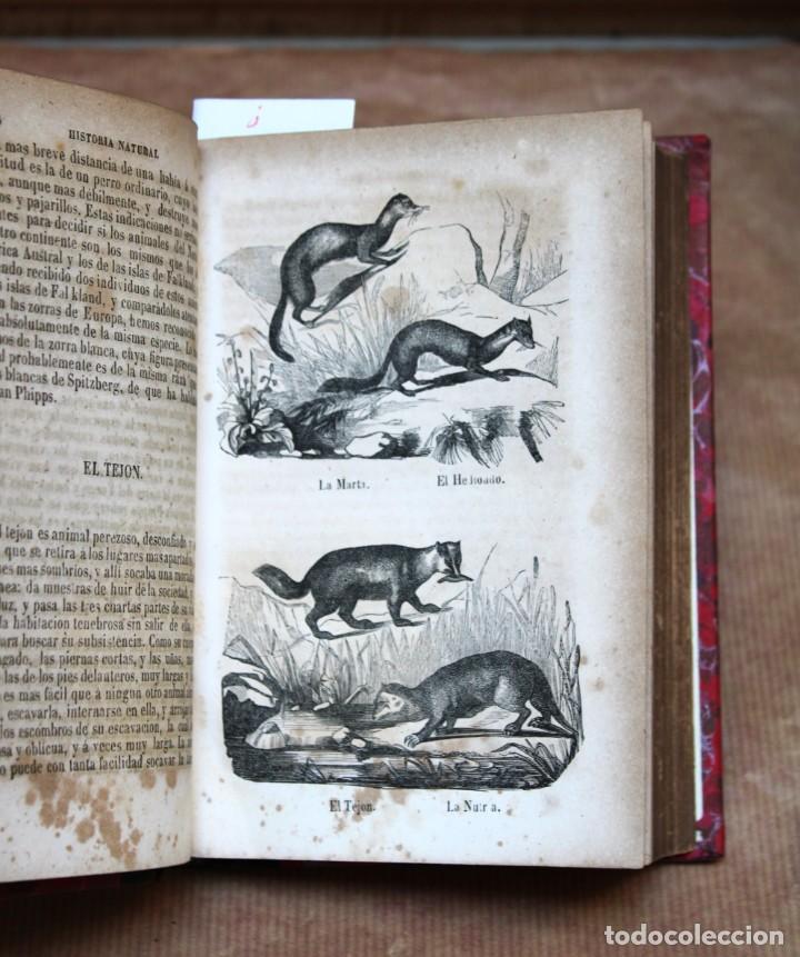 Libros antiguos: BUFFON.O.C. Tomo V. ilustrado - Foto 2