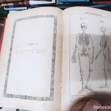 Libros antiguos: ANTROPOLOGÍA . LOS TRES REINOS DE LA NATURALEZA . TOMO SEXTO. VI . F. NACENTE Y SOLER . 1892 .. Lote 353558898