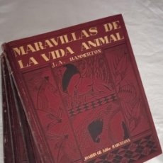 Libros antiguos: MARAVILLAS DE LA VIDA ANIMAL. J.A. HAMMERTON. COMPLETA, 4 TOMOS. JOAQUIN GIL. 1930, 1ª EDICIÓN.. Lote 354238123