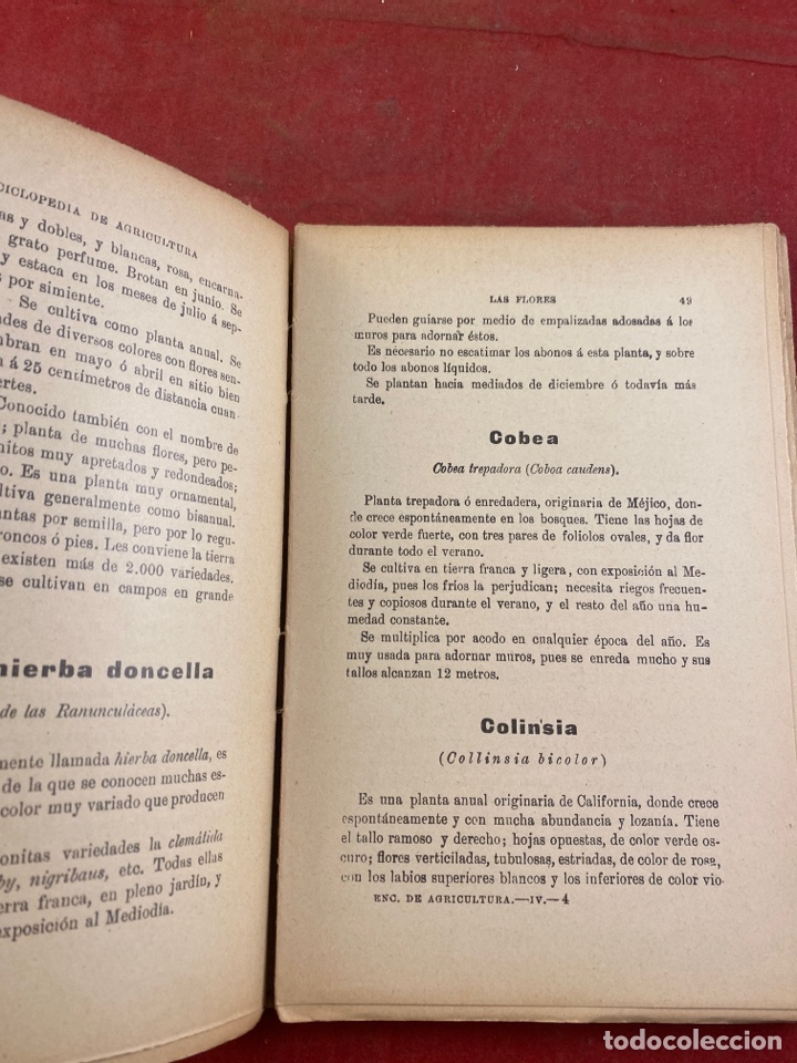 Libros antiguos: MANUAL DEL JARDINERO - Foto 3