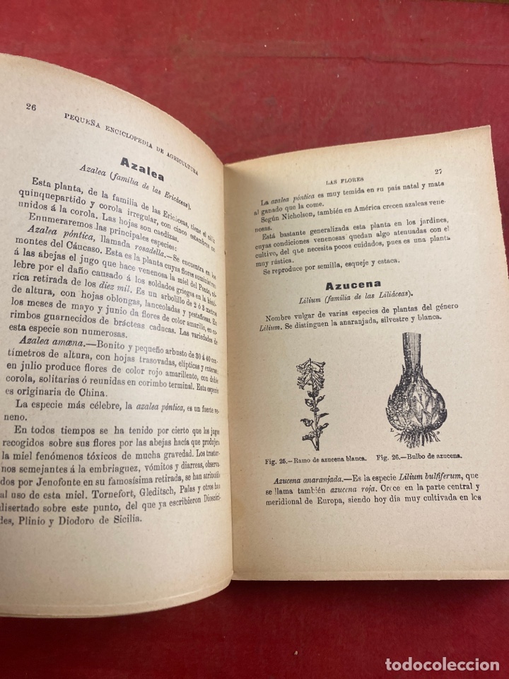 Libros antiguos: MANUAL DEL JARDINERO - Foto 4