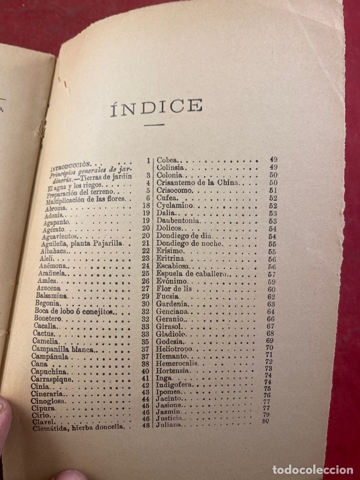 Libros antiguos: MANUAL DEL JARDINERO - Foto 5
