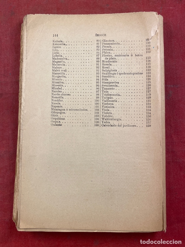 Libros antiguos: MANUAL DEL JARDINERO - Foto 6