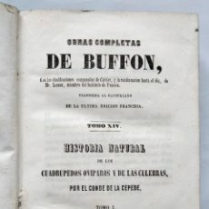 Libros antiguos: OBRAS COMPLETAS DE BUFFON, TOMO XIV - HISTORIA DE LOS CUADRUPEDOS OVIPAROS Y DE LAS CULEBRAS, TOMO I. Lote 363476870