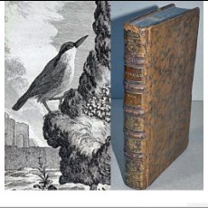Libros antiguos: AÑO 1779: LIBRO DEL SIGLO XVIII CON ILUSTRACIONES DE PÁJAROS. BUFFON.. Lote 363997641