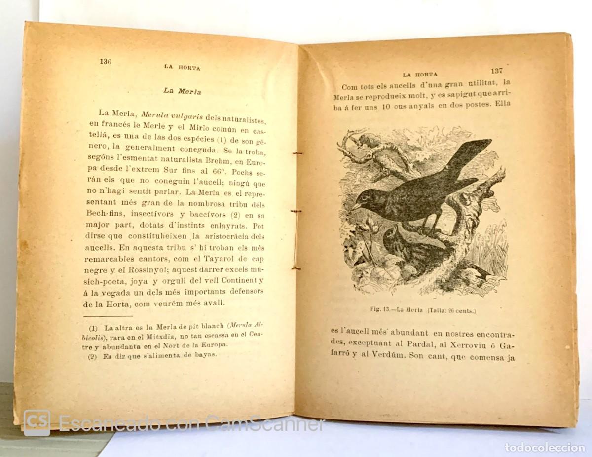 Libros antiguos: ELS AUCELLS M&Eacute;S &Uacute;TILS Emili Tarr&eacute; 1902 - Foto 2